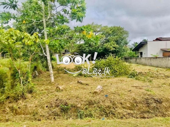 සියලු පහසුකම් සපිරි නිදහස් සුවපහසු පරිසරයක