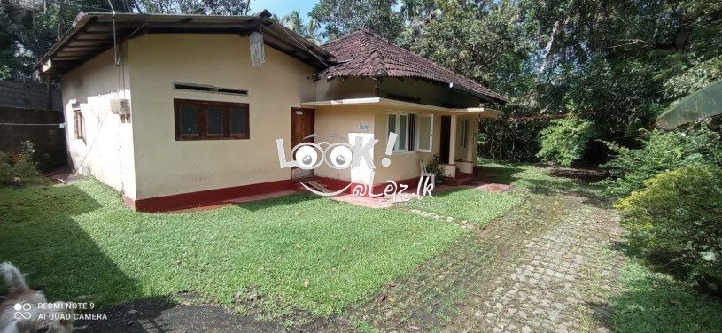 Land with house sale 