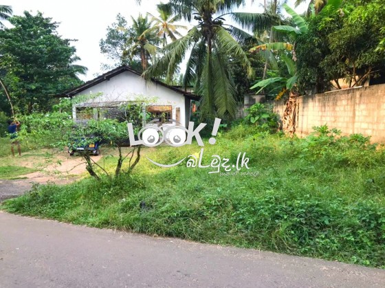 Land with house sale 