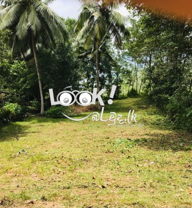 Land for sale MEEGODA 