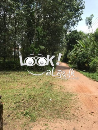 Land for sale MEEGODA 