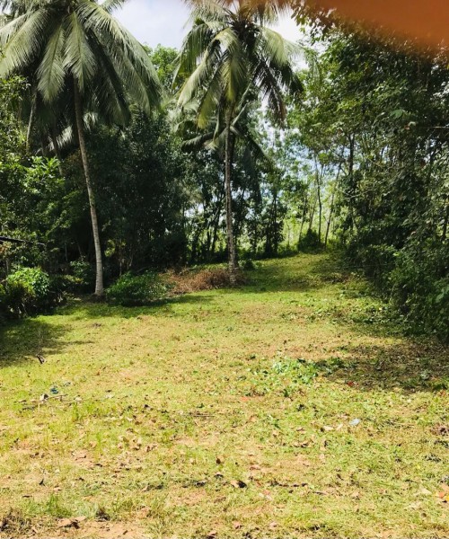 Land for sale MEEGODA 