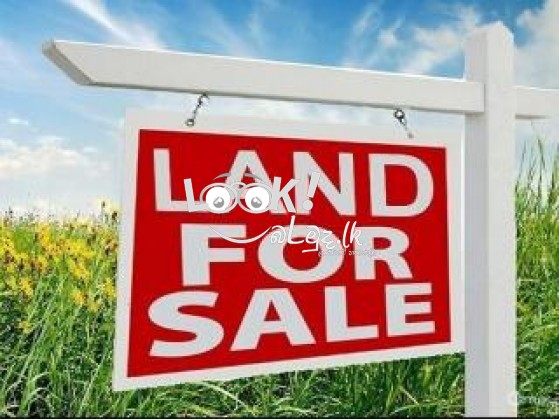 House & Big Land for Sale Pannala