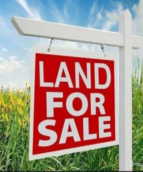 House & Big Land for Sale Pannala