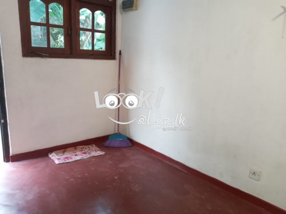 Single House For Rent in Kalubowila 1 Bed Room