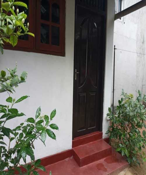 Single House For Rent in Kalubowila 1 Bed Room