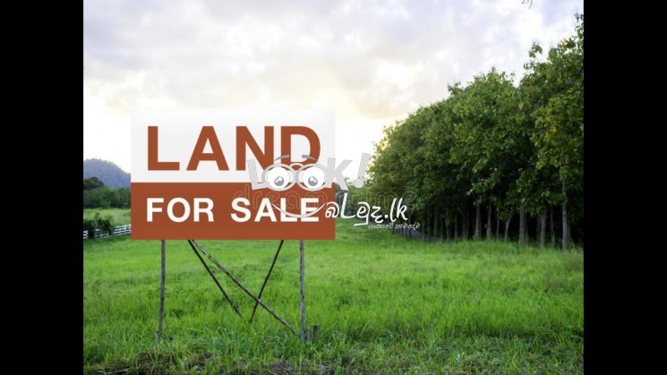 Delgoda Land for sale