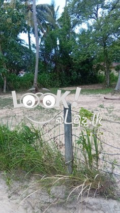 Land for sale Pannala, Kurunagala 