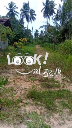 Land for sale Pannala, Kurunagala 