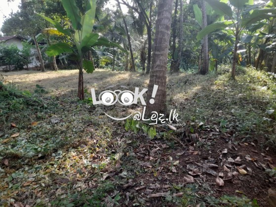 Land for sale Pannala, Kurunagala 