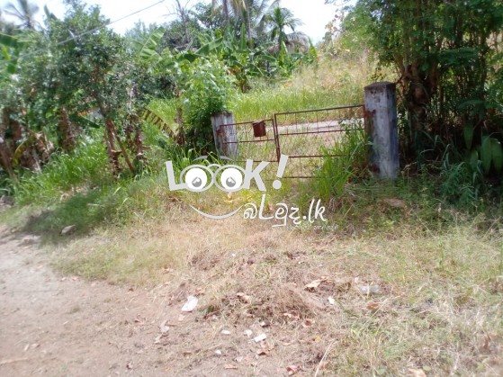 Land with house sale