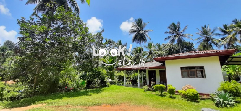 Land and house for sale