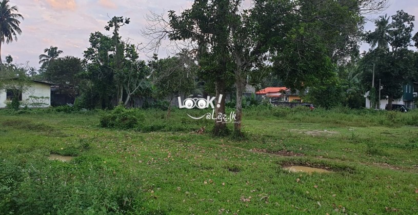 Bare land ideal for Industrial Purposes