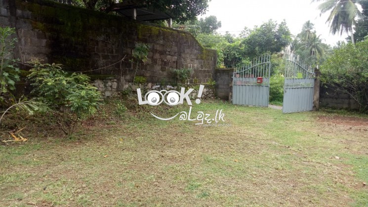 Land For Sale Gampaha 