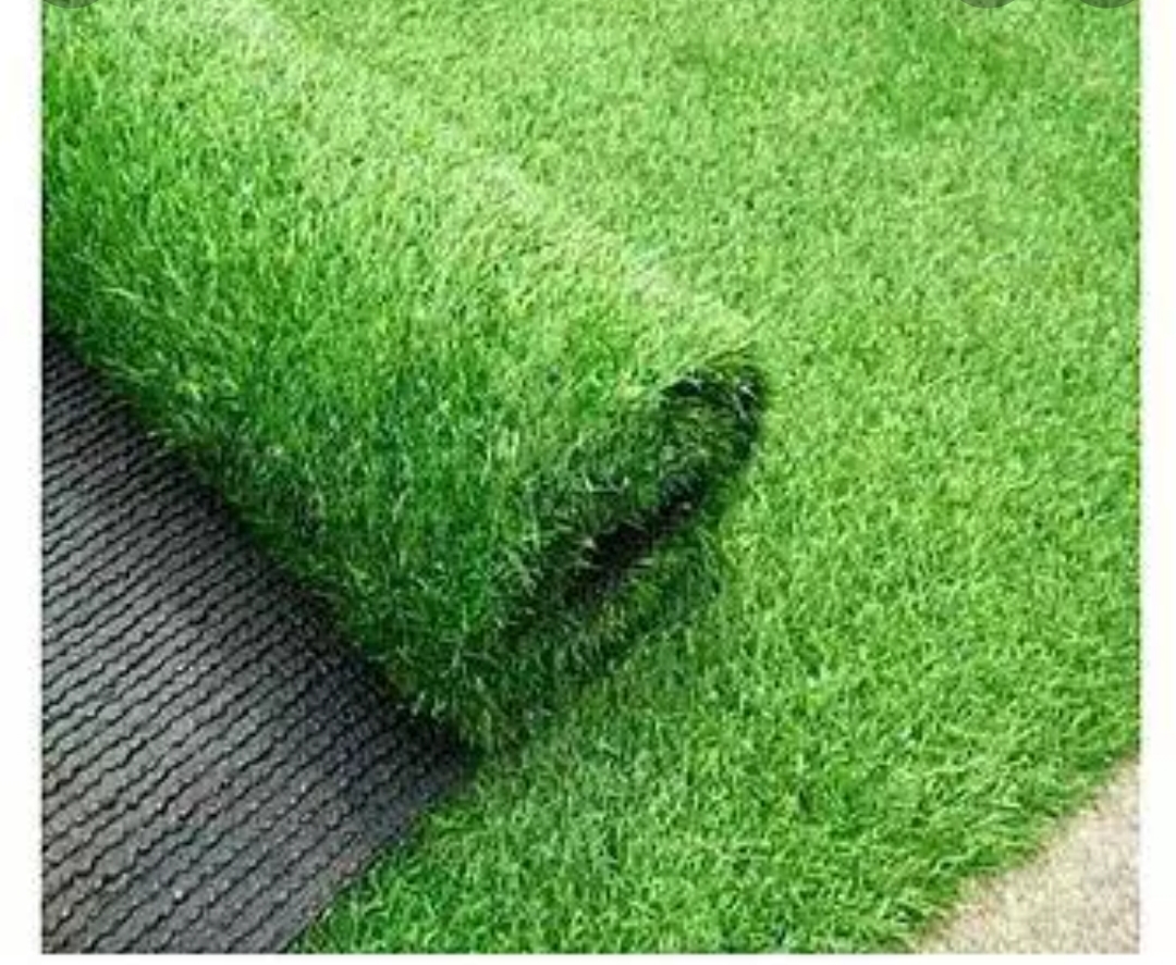 Malaysian Carpet Grass