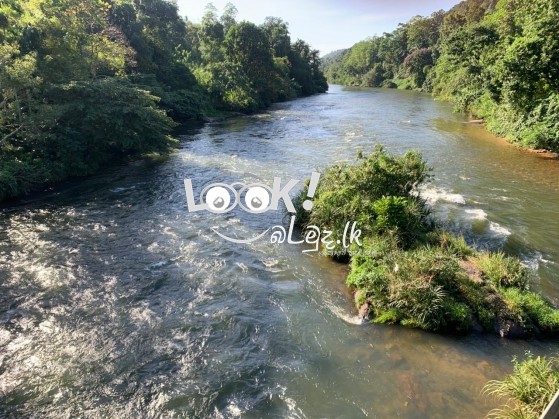 සුන්දර කැළණි ගගට මායිම්ව අක්කර 5ක්
