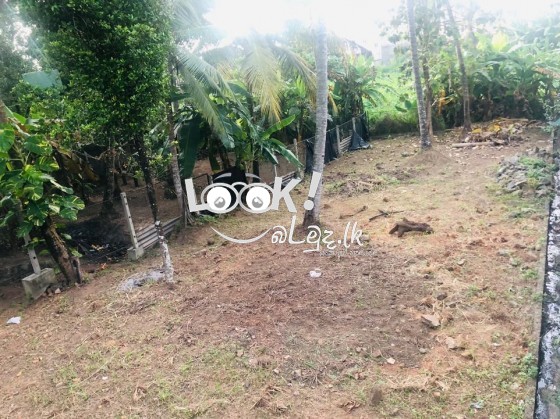 LAND FOR SALE MAHARA