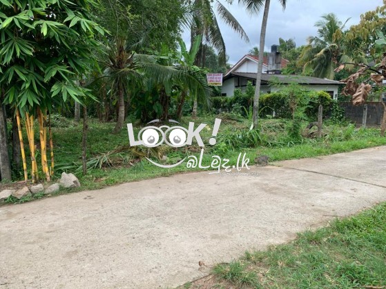 Land for sale GAMPAHA