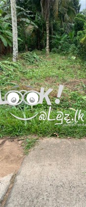 Land for sale GAMPAHA