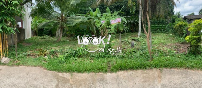 Land for sale GAMPAHA