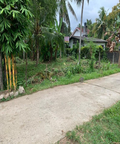 Land for sale GAMPAHA