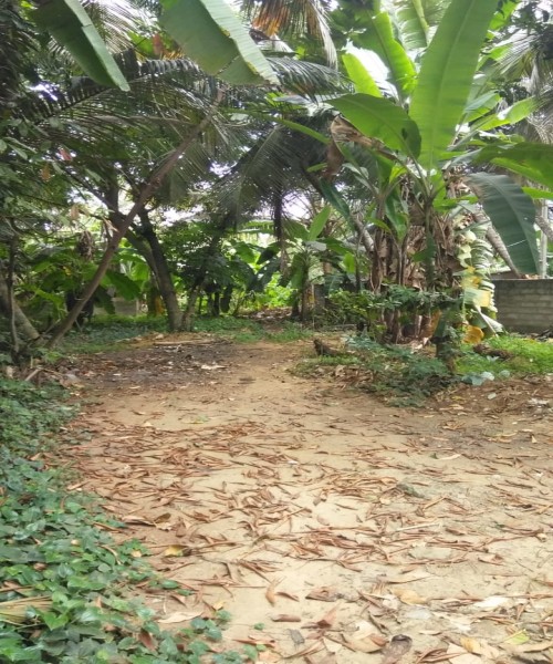 Land For Sale in Edirisingha road Nugegoda