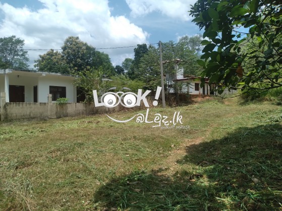 Land for sale 