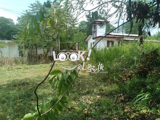 Land for sale 