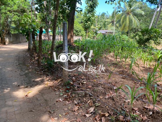 Land for sale 