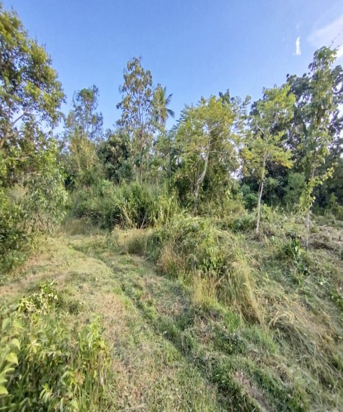 Land for sale 