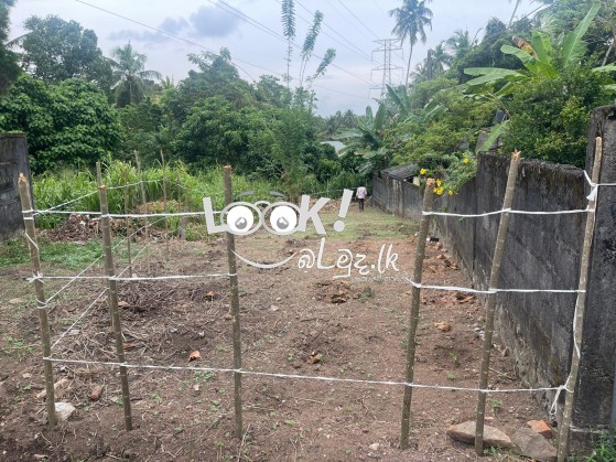 Land for sale 