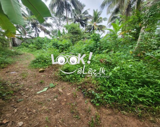 Land for sale 