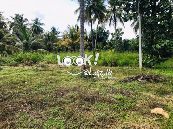 Land for sale 