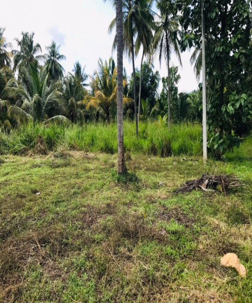 Land for sale 