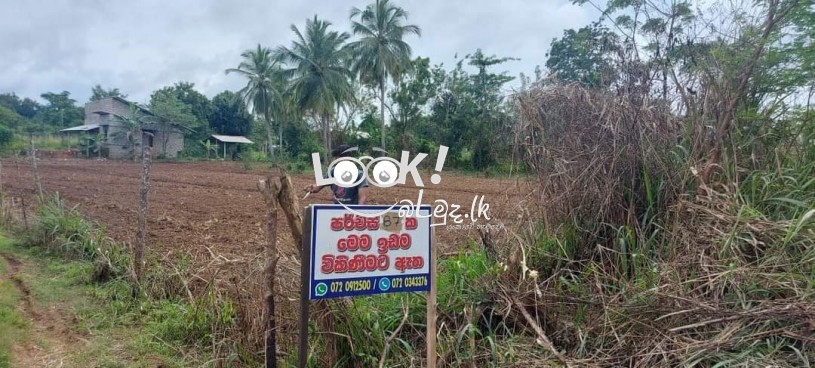 Land for sale 