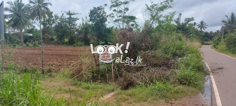 Land for sale 