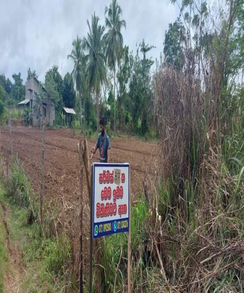 Land for sale 