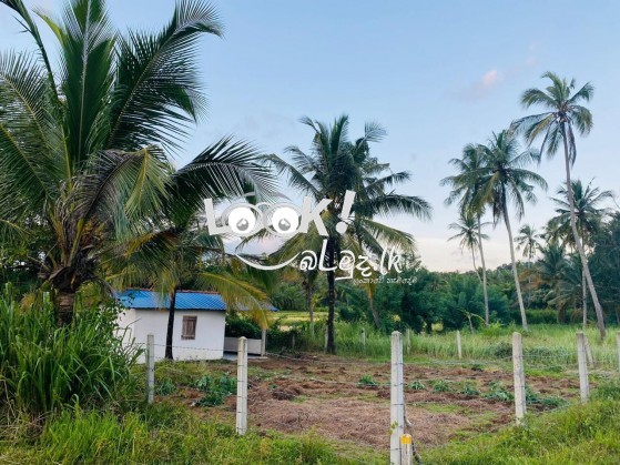 Land for sale 