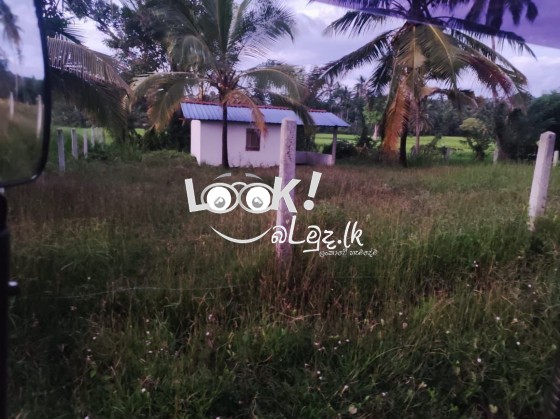 Land for sale 