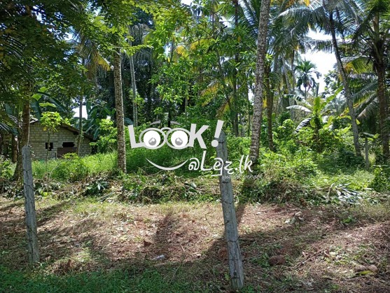 Land for sale 