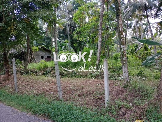 Land for sale 