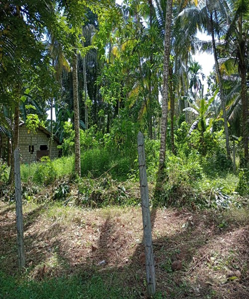 Land for sale 