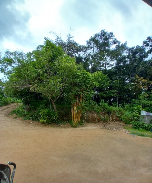 Land for sale 