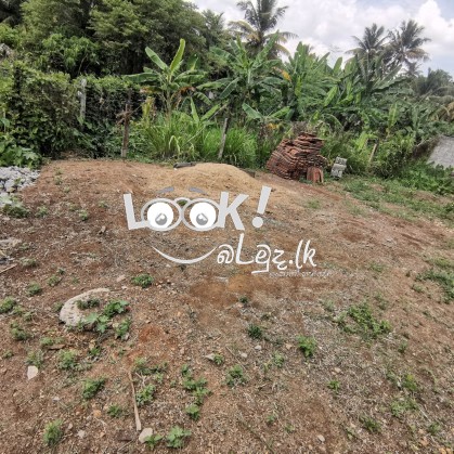 Land for sale 