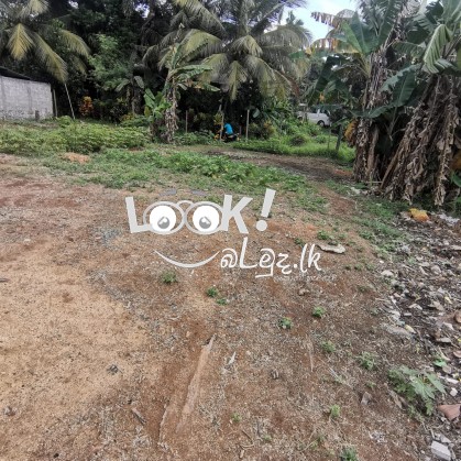 Land for sale 