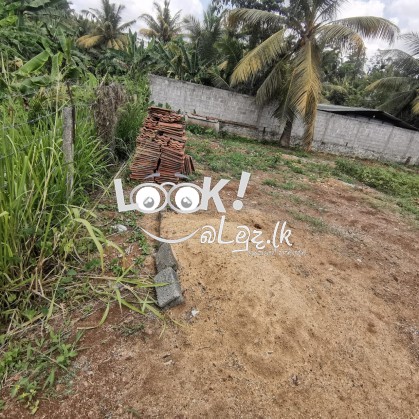 Land for sale 