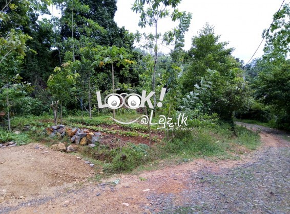 Land for sale 