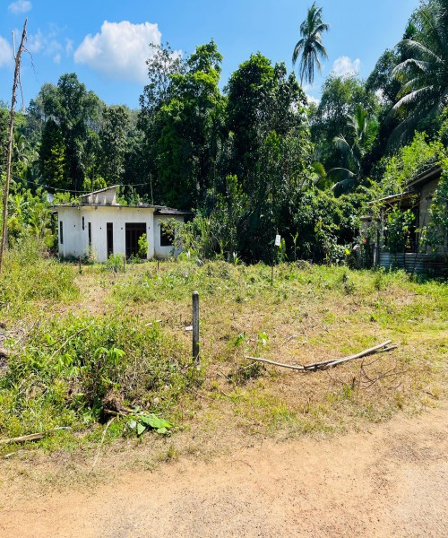 Land for sale 