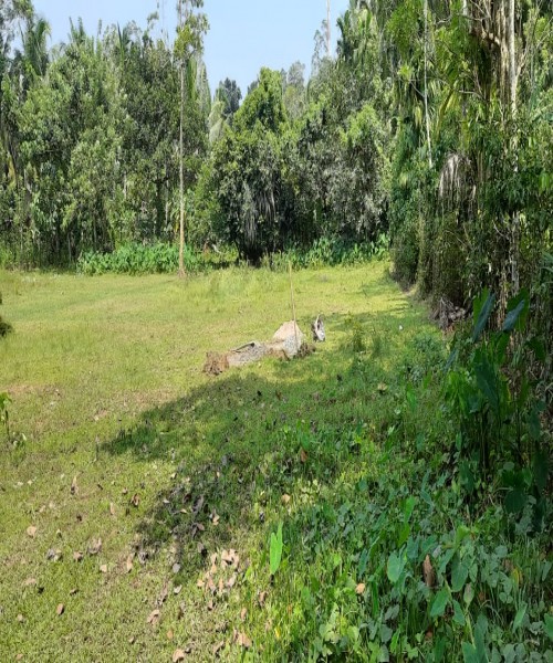 Land for sale 