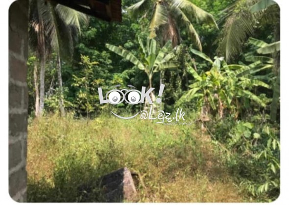 Land for sale 